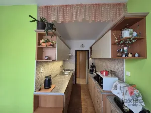 Prodej bytu 3+1, Veselí nad Lužnicí - Veselí nad Lužnicí I, Blatské sídliště, 78 m2