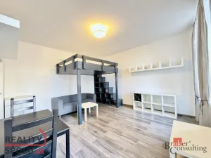 Pronájem bytu 1+kk, Plzeň - Východní Předměstí, Lobezská, 40 m2