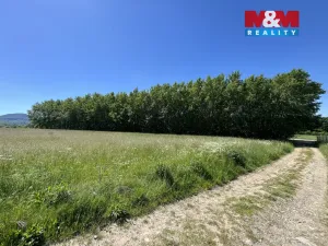 Prodej lesa, Chvalčov, 7085 m2