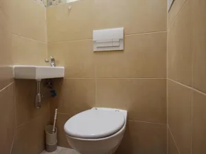 Prodej bytu 3+kk, Praha - Žižkov, Chvalova, 78 m2