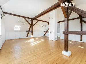 Prodej skladu, Březno, 380 m2