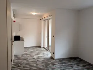 Pronájem bytu 1+kk, České Budějovice - České Budějovice 3, Riegrova, 46 m2