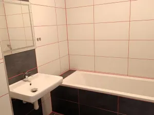 Pronájem bytu 1+kk, České Budějovice - České Budějovice 3, Riegrova, 46 m2