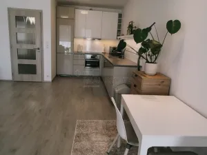 Pronájem bytu 1+kk, Plzeň, Kollárova, 56 m2