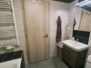 Pronájem bytu 1+kk, Plzeň, Kollárova, 56 m2