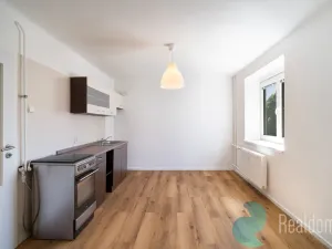 Prodej bytu 2+1, České Budějovice, Hálkova, 50 m2