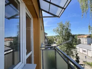 Prodej bytu 3+1, Rychnov nad Kněžnou, Sokolovská, 62 m2