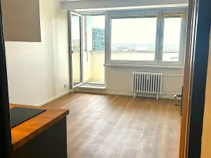 Pronájem bytu 1+kk, Praha, Kyselova, 23 m2