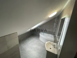 Pronájem bytu 1+1, Plzeň - Jižní Předměstí, Skvrňanská, 45 m2