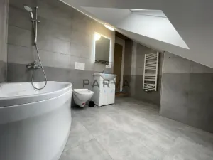 Pronájem bytu 1+1, Plzeň - Jižní Předměstí, Skvrňanská, 45 m2