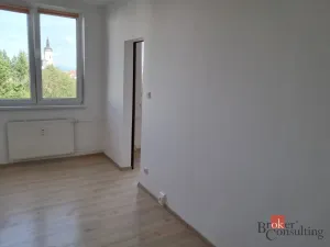 Pronájem bytu 2+1, Bílovec, Radotínská, 46 m2