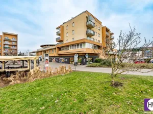 Pronájem bytu 3+kk, Praha, Rižská, 75 m2