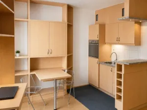 Pronájem bytu 1+kk, Praha - Vinohrady, Francouzská, 28 m2