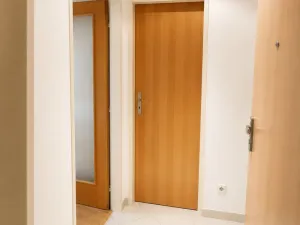 Pronájem bytu 1+kk, Praha - Vinohrady, Francouzská, 28 m2