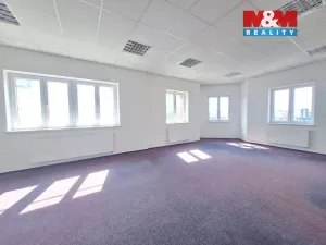 Prodej kanceláře, Ostrava - Přívoz, Kosmova, 310 m2