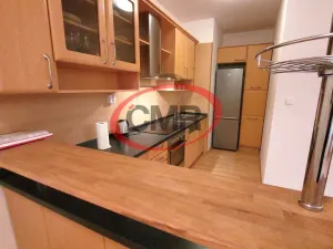 Pronájem bytu 1+kk, Praha, Lublaňská, 38 m2