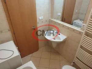 Pronájem bytu 1+kk, Praha, Lublaňská, 38 m2