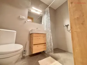 Pronájem ubytování, Olšany u Prostějova - Hablov, 600 m2