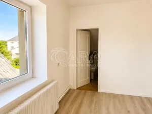 Prodej vícegeneračního domu, Olešná, 170 m2