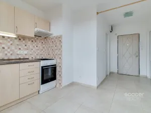 Pronájem bytu 1+1, Nymburk, Josefa Mánesa, 35 m2