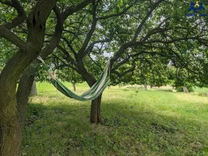 Prodej chaty, Želeč, 35 m2