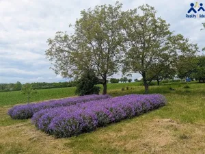 Prodej chaty, Želeč, 35 m2