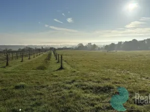Prodej chalupy, Záboří - Dobčice, 170 m2