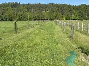 Prodej chalupy, Záboří - Dobčice, 170 m2