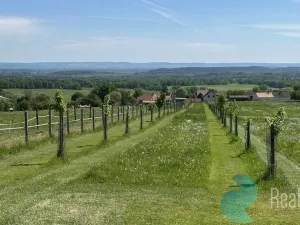 Prodej chalupy, Záboří - Dobčice, 170 m2