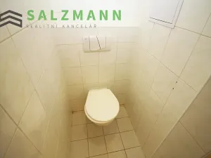 Pronájem bytu 2+kk, Plzeň, Malesická, 43 m2