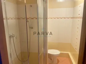 Pronájem bytu 1+kk, Plzeň - Doubravka, Lesní, 20 m2