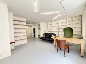 Pronájem bytu 1+kk, Praha - Nové Město, Dittrichova, 55 m2