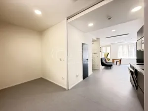 Pronájem bytu 1+kk, Praha - Nové Město, Dittrichova, 55 m2
