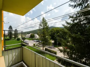 Prodej bytu 2+1, Loučovice, 57 m2
