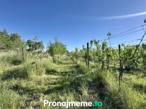 Pronájem - jiné, Šatov, 1759 m2