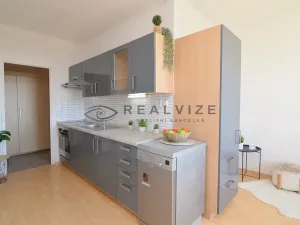 Prodej bytu 2+1, České Budějovice, Větrná, 61 m2