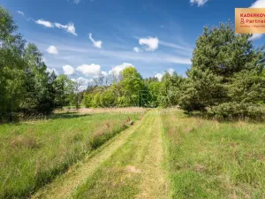 Prodej chaty, Rozsochy, 85 m2