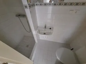 Pronájem bytu 1+kk, Praha - Žižkov, Vlkova, 28 m2