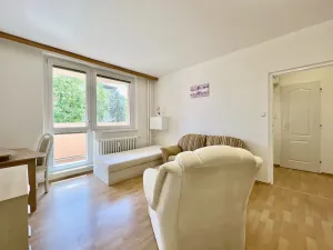 Pronájem bytu 1+1, Napajedla, Nábřeží, 33 m2