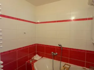 Prodej bytu 3+1, Opava - Předměstí, Tomáškova, 81 m2
