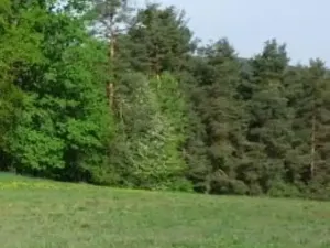 Prodej louky, Vojnův Městec, 9000 m2