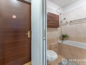 Prodej bytu 2+kk, Praha - Žižkov, Orebitská, 35 m2