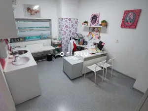 Prodej obchodního prostoru, Bratislava-Staré Mesto, Slovensko, Búdková, 581 m2