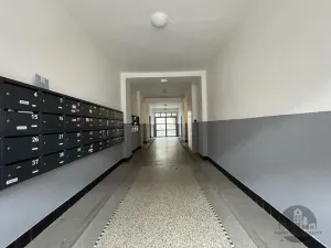 Pronájem bytu 1+kk, Praha - Nusle, 5. května, 30 m2