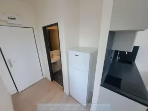 Pronájem bytu 1+kk, Praha - Vysočany, 33 m2