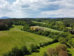 Prodej chalupy, Tuhaň, 700 m2