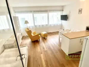 Pronájem bytu 1+kk, Řevnice, Pod Lipami, 44 m2