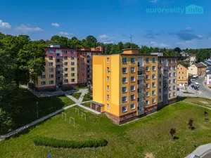 Prodej bytu 3+1, Luby, U Pily, 82 m2