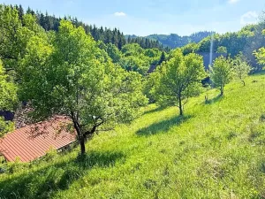 Prodej chaty, Liptál, 45 m2