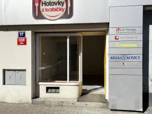 Pronájem obchodního prostoru, Praha - Nusle, Na Pankráci, 24 m2